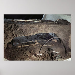 Tomb of a Gaulish chief Poster