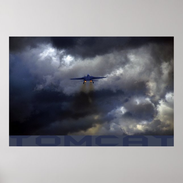 Tomcat Poster (Front)