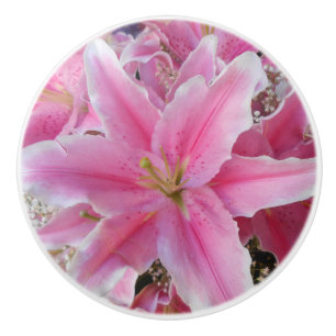 Tommasina Ceramic Knob