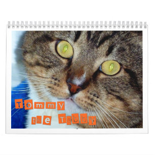 Tommy the Tabby Calendar