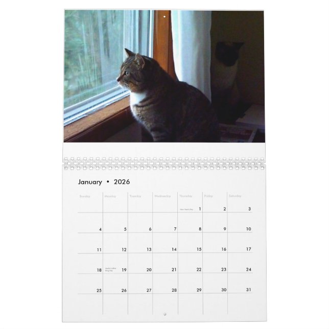 Tommy the Tabby Calendar (Jan 2026)