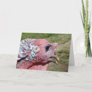 Tommy Turkey Closeup Card