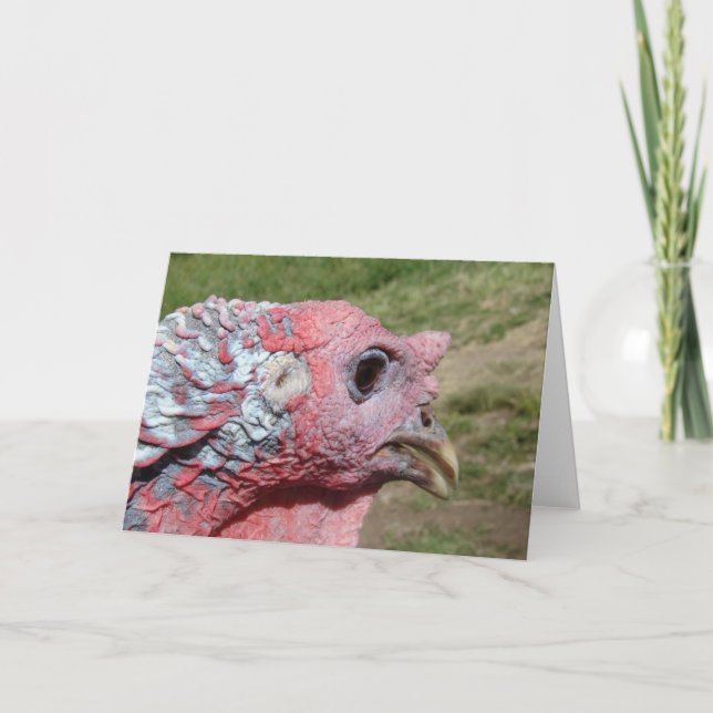 Tommy Turkey Closeup Card (Front)