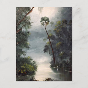 Tomoka River Florida Postcard