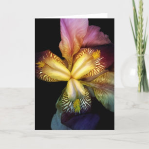 Toms Irises  Card