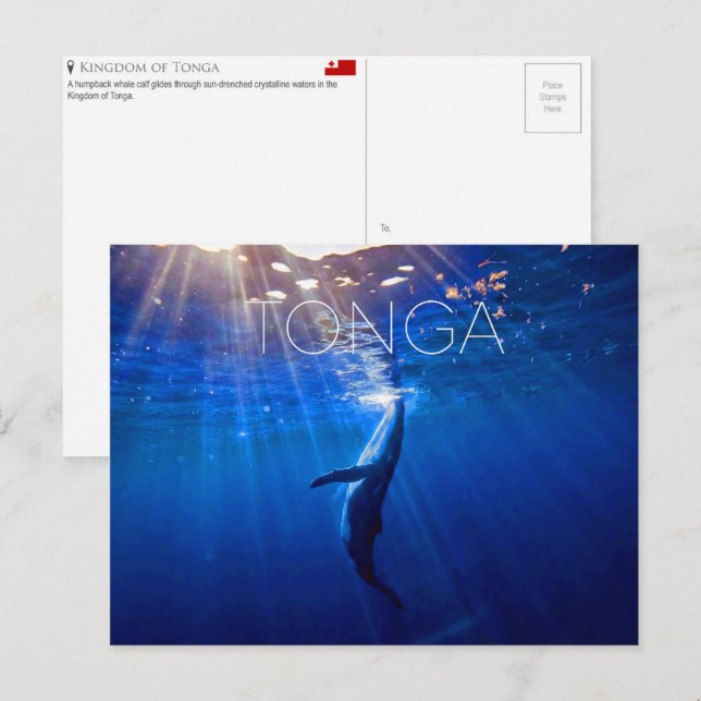Tonga Travel Postcard (Front/Back)