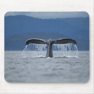 Tongass National Forest, Humpback Mouse Pad
