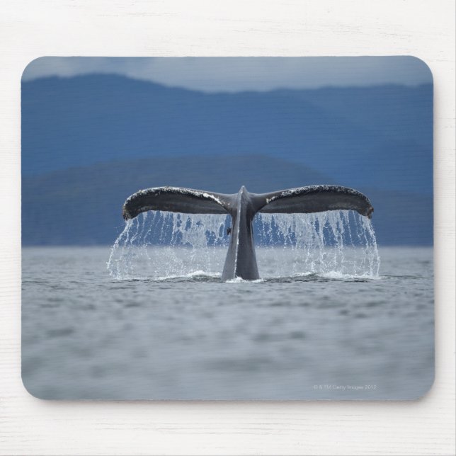Tongass National Forest, Humpback Mouse Pad (Front)