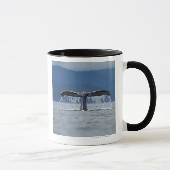 Tongass National Forest, Humpback Mug (Right)