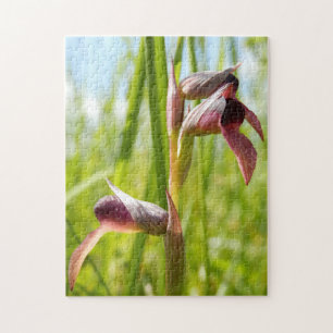 Tongue Orchid Photo Puzzle