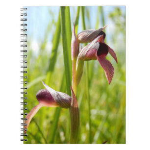 Tongue Orchid Spiral Photo Notebook