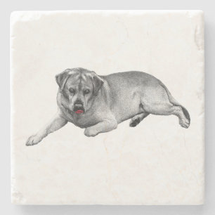 Tongue Out Lab – Playful Detail Stone Coaster