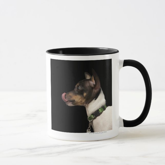 Tongue out of black and White Rat Terrier Mug (Right)