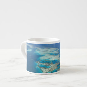 Tongue Reef, Great Barrier Reef Marine Park, Espresso Cup