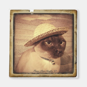 Tonkinese Gato Magnet