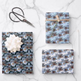 Tonkinson Daisies Galore Tissue Gift Wrap Inpakpap