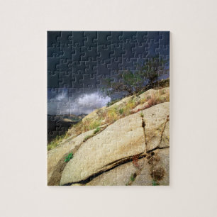 Tonto National Forest, Arizona, United States 2 Jigsaw Puzzle