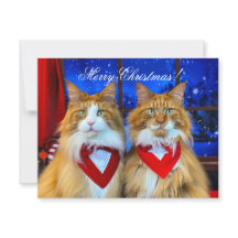 Tony and Teddy Christmas Card