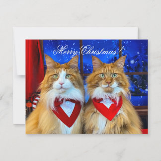 Tony and Teddy Christmas Card