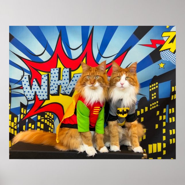 Tony and Teddy, the Dynamic Maine Coon Duo Poster (Front)