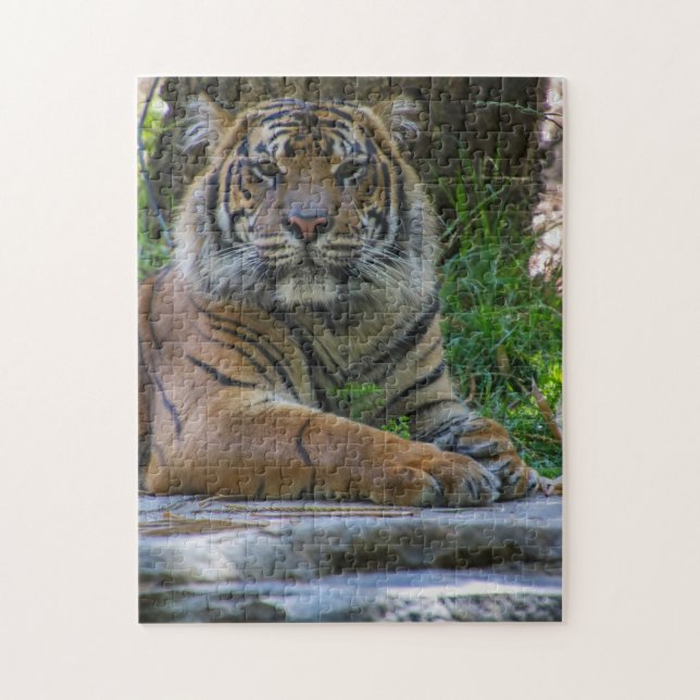 Tony Jigsaw Puzzle (Vertical)