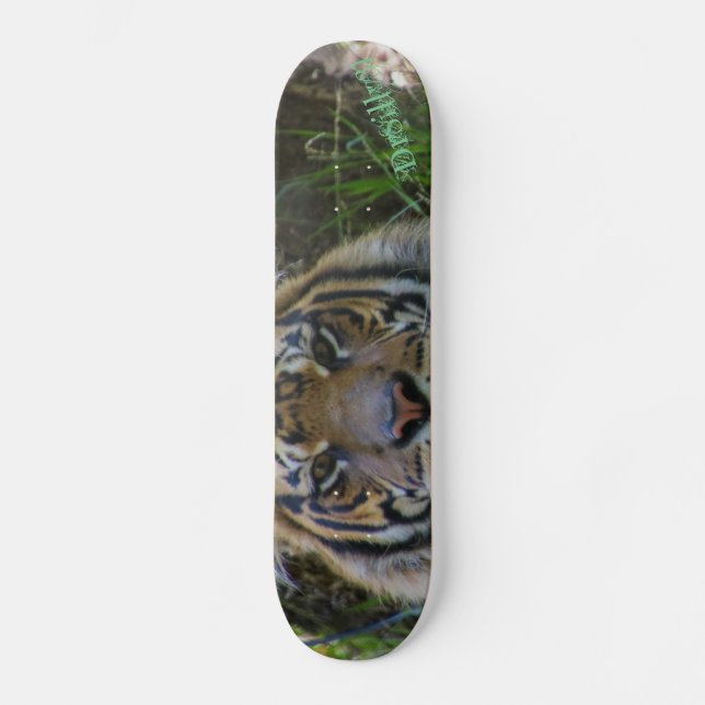 Tony Skateboard (Front)