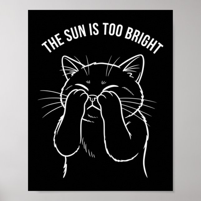 Too Bright Kitty Poster (Front)