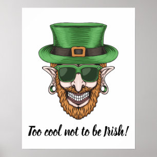 Too Cool Irish Dude Poster