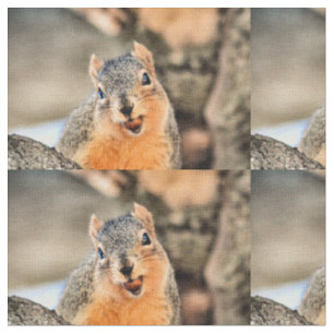 Too cute fabric