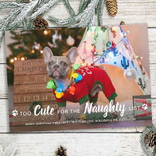 Too Cute For Naughty List Funny Dog Pet Photo Holiday Card