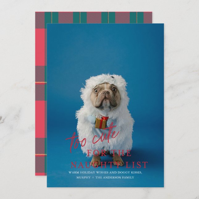 Too Cute for the Naughty List Pet Photo Holiday  Invitation (Front/Back)