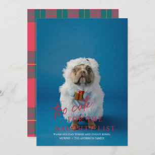 Too Cute for the Naughty List Pet Photo Holiday Invitation