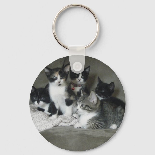 Too Cute Kittens Key Ring (Front)