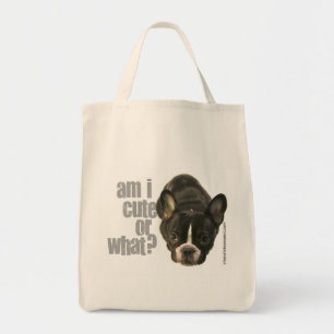 too cute to carry 2 bag