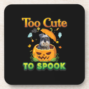 Too Cute To Spook Schnauzer Dog Halloween Pumpkin Coaster