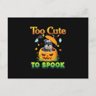 Too Cute To Spook Schnauzer Dog Halloween Pumpkin Holiday Postcard