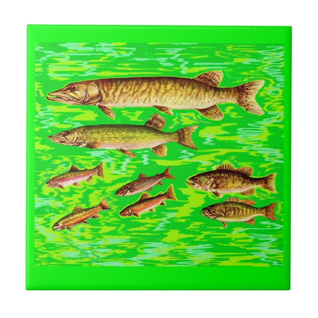 too many fish in the sea ceramic tile (Front)