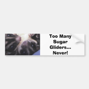 Too Many Sugar Gliders... Bumper Sticker