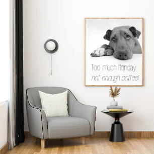 Too much Monday, not enough coffee - Sleepy Dog Poster