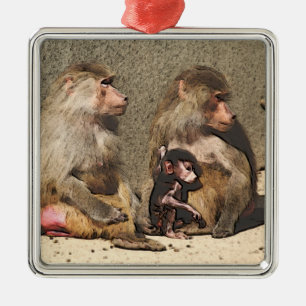 toony baboons metal ornament