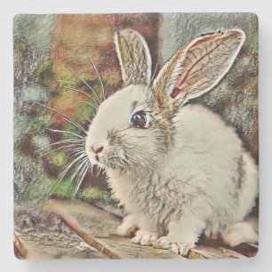 toony bunny stone coaster