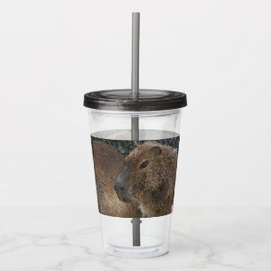 toony Capibarah Acrylic Tumbler