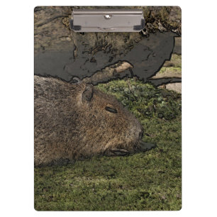 toony capy 2 clipboard