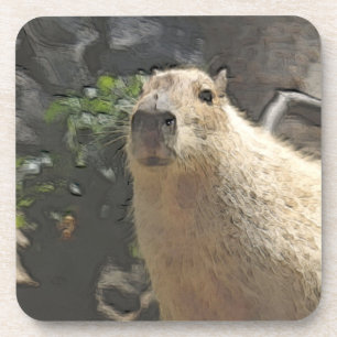 toony capy 3 coaster