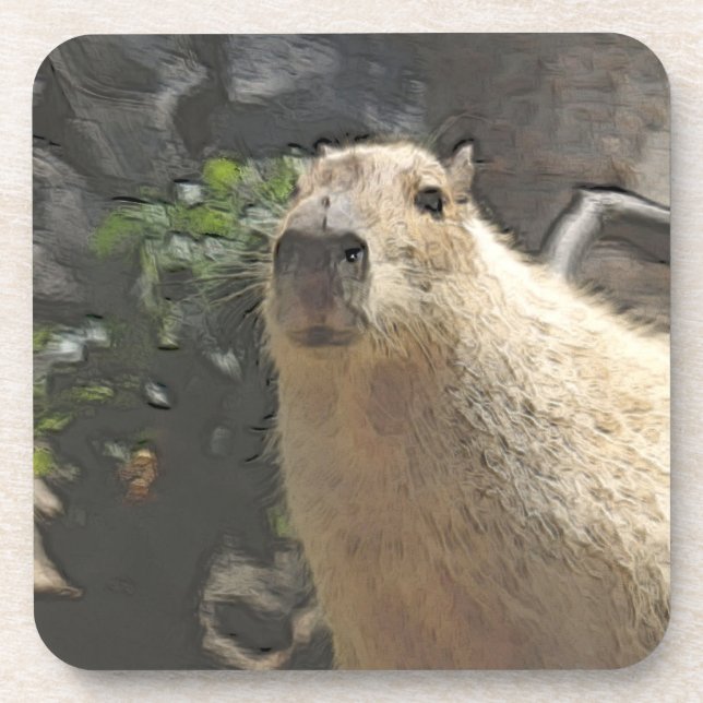 toony capy 3 coaster (Front)