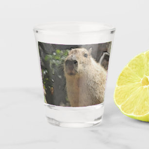 toony capy 3 shot glass