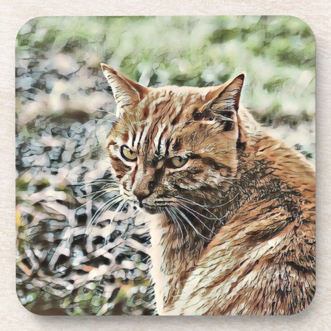 toony cat coaster (Front)