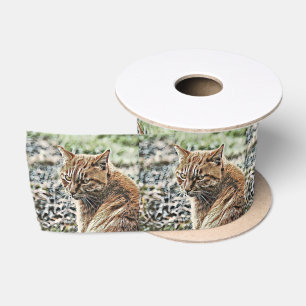 toony cat satin ribbon