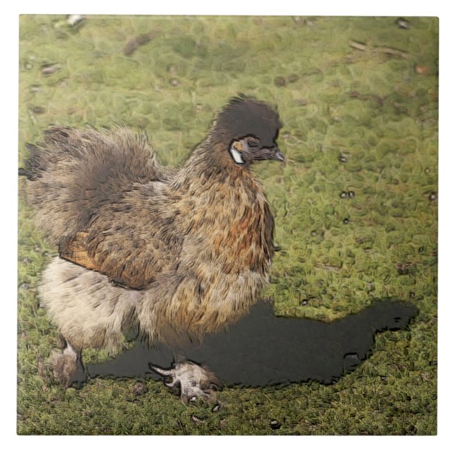 toony chicken ceramic tile (Front)