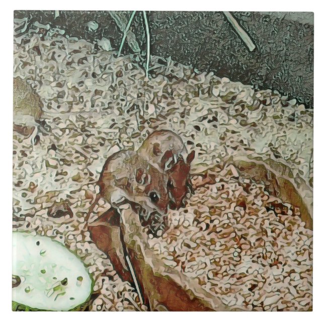 Toony dwarf mice ceramic tile (Front)